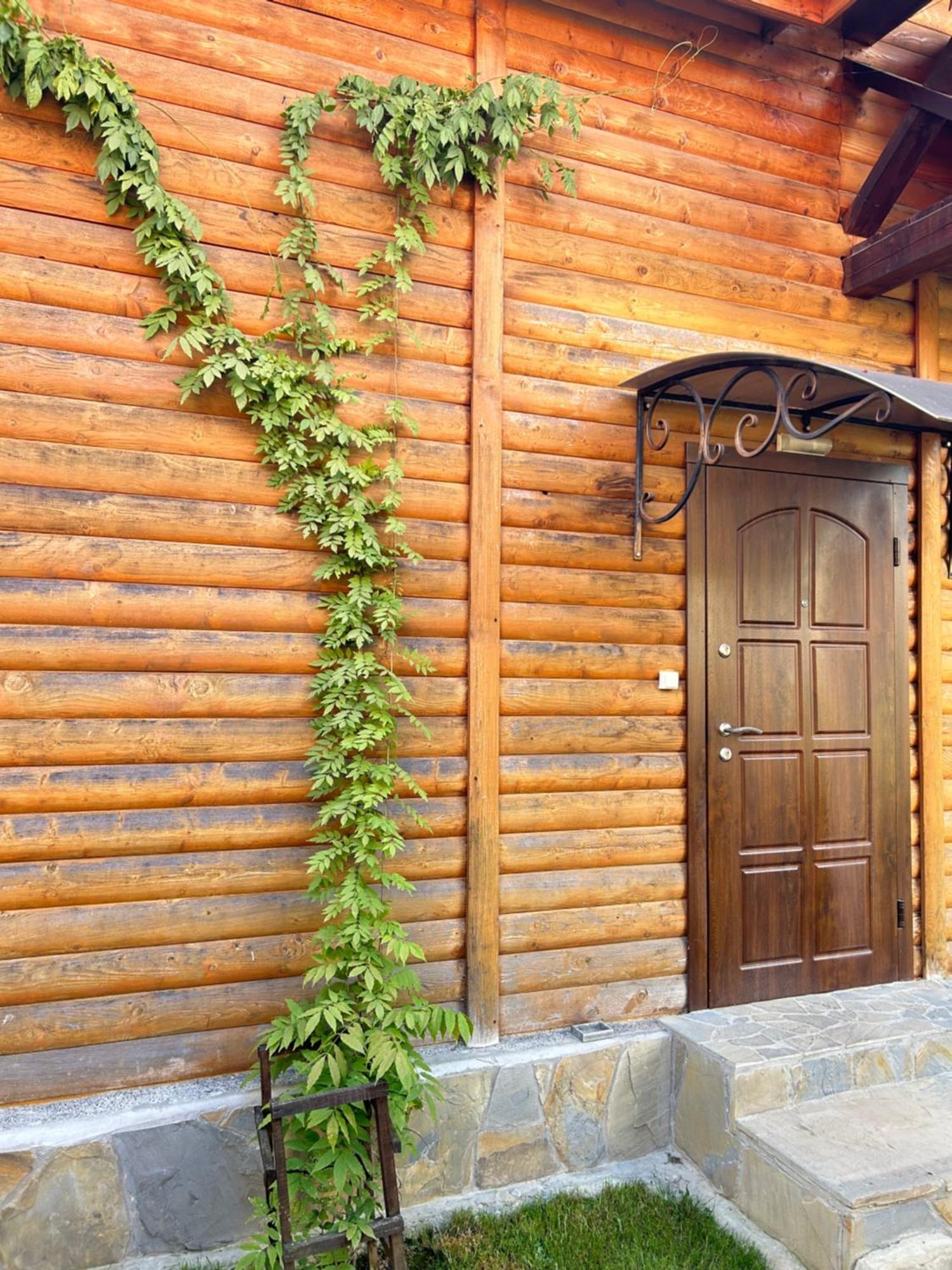 Guest House Kaspiy بوكوفِل المظهر الخارجي الصورة