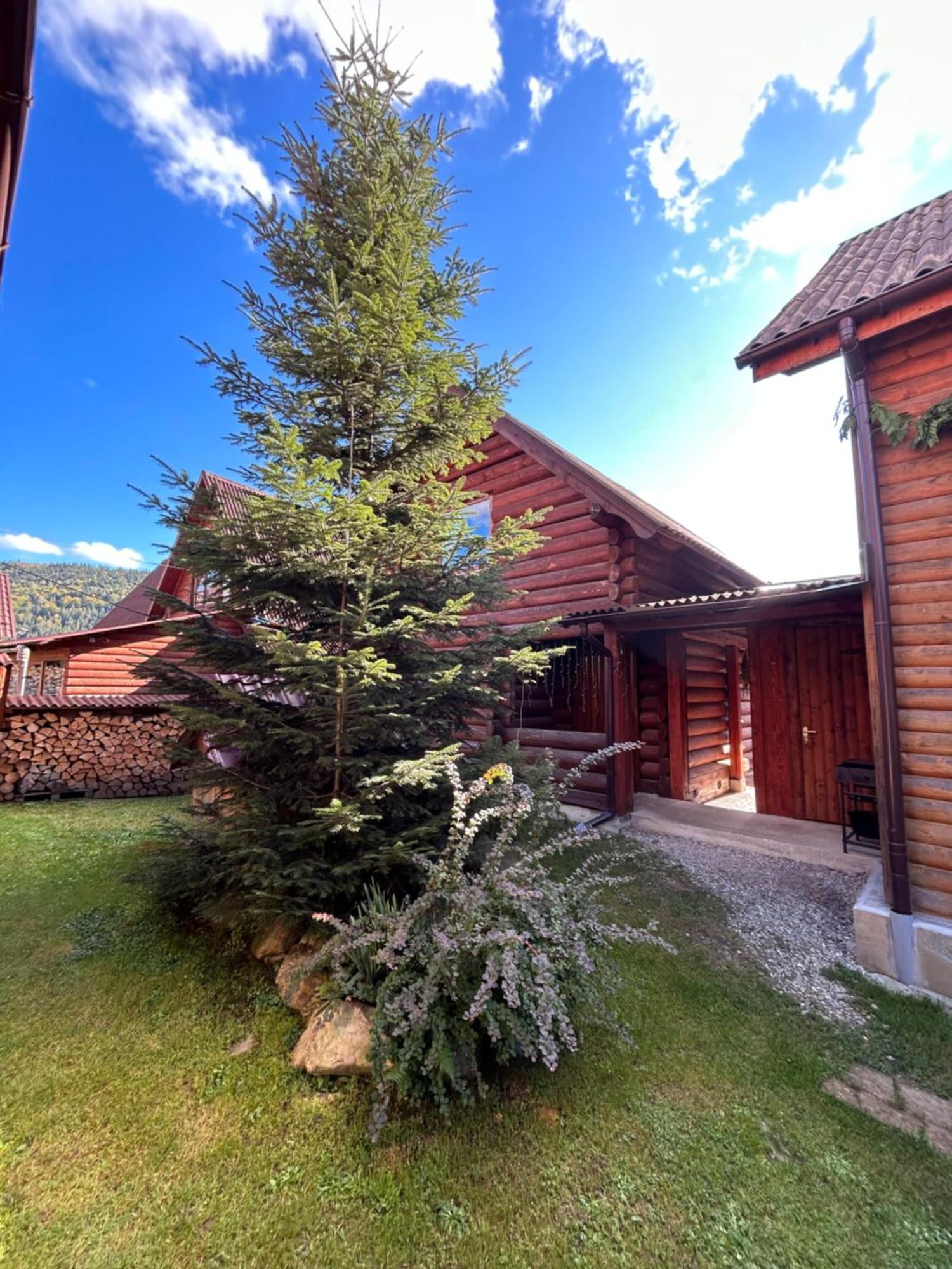 Guest House Kaspiy بوكوفِل المظهر الخارجي الصورة